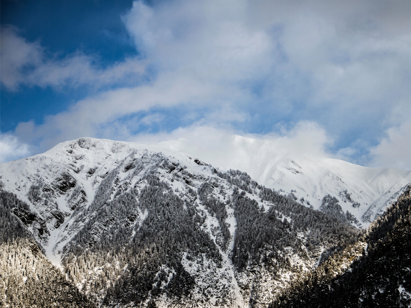 Snow & Tree Lined Mountains Snow & Tree Lined Mountains